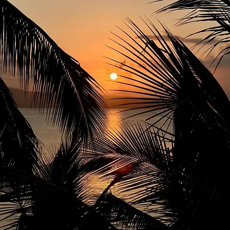 Emoha Dive Resort
