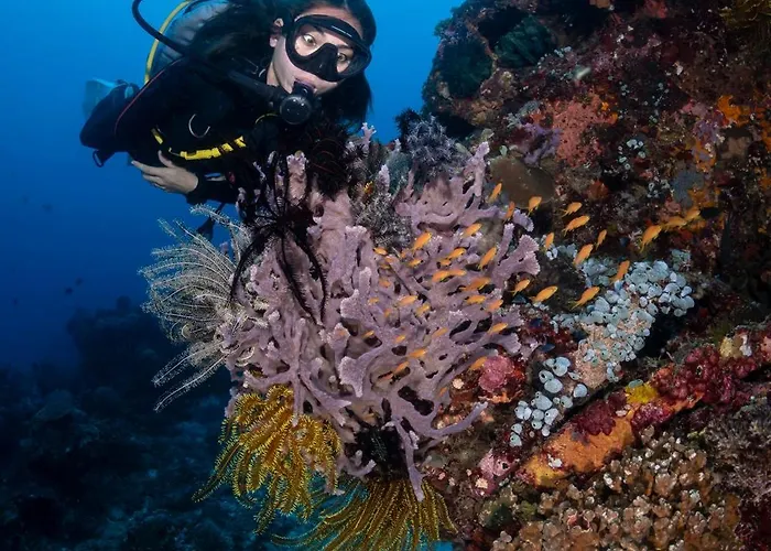 Resort Emoha Dive 3*