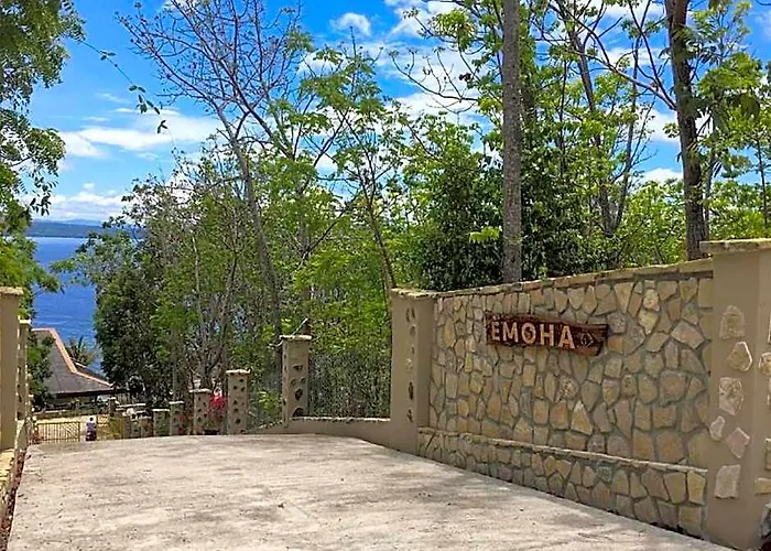 Emoha Dive