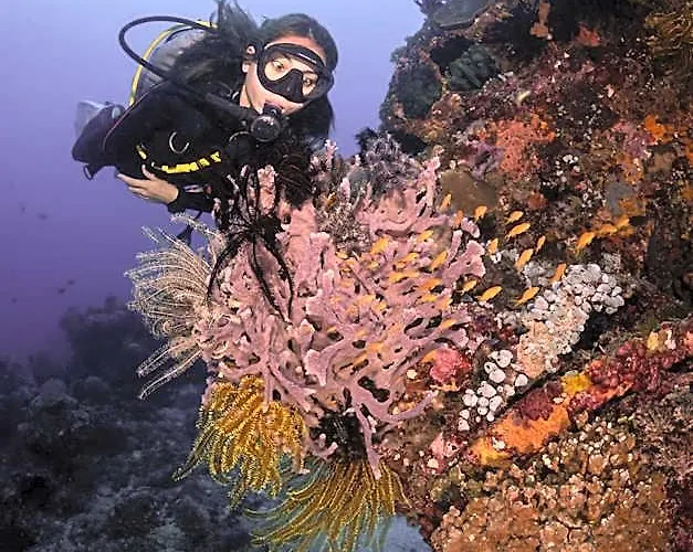Resort Emoha Dive Santander