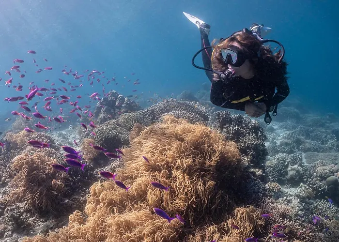 Emoha Dive 3* Santander